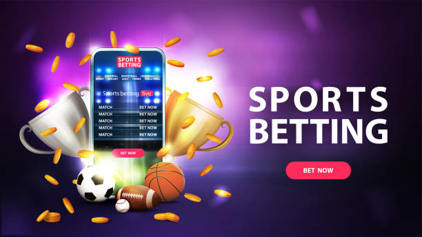 Everything You Need to Know About marvelbet login bd